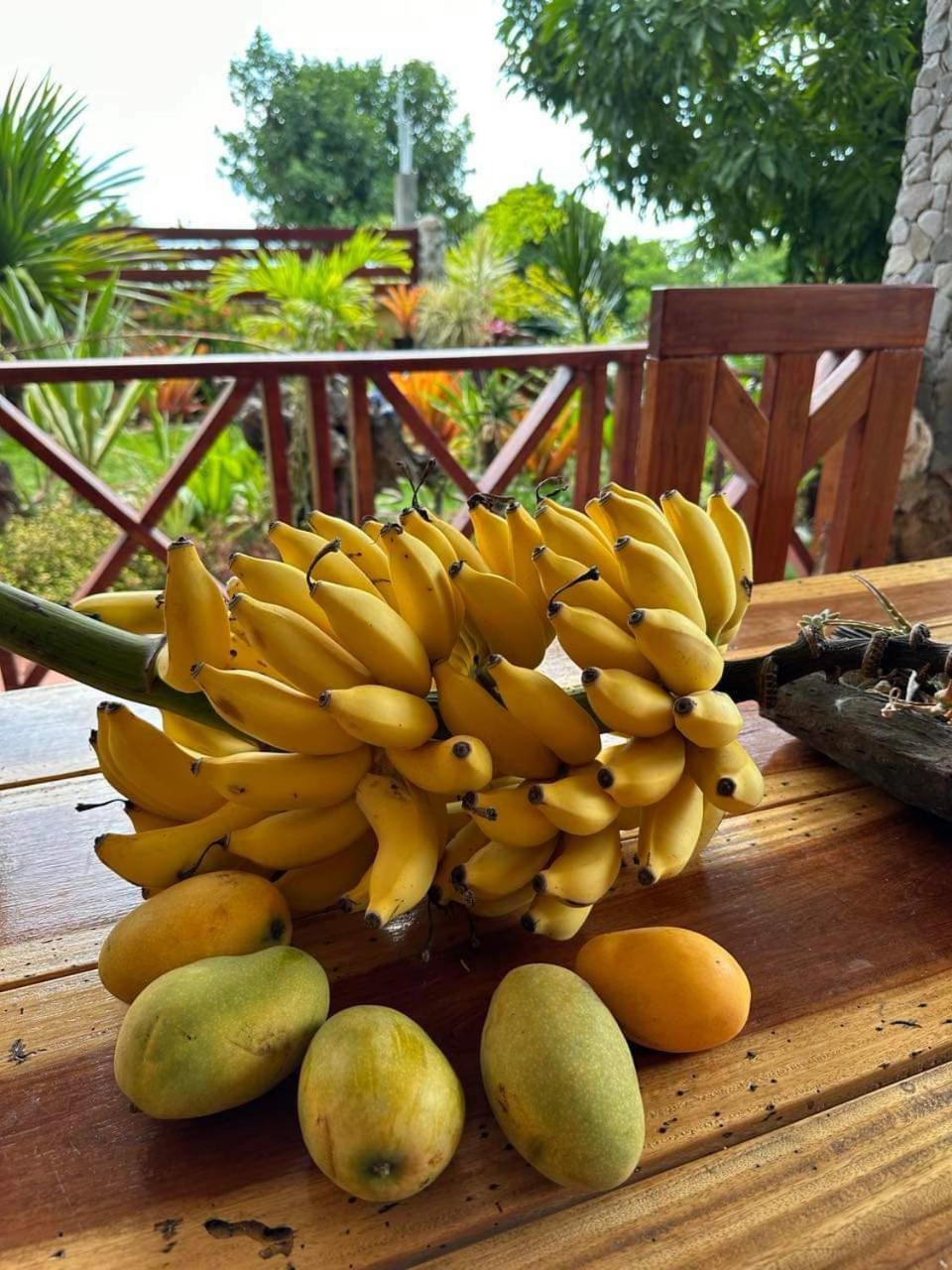 Guillet Mabrika Resort Dominica מראה חיצוני תמונה